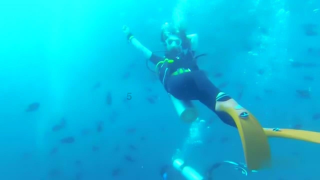 丰田海狮卫生间版报价 丰田海狮价位