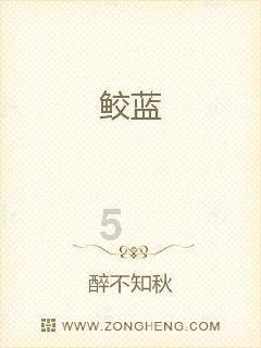 探探猫宝石岛3