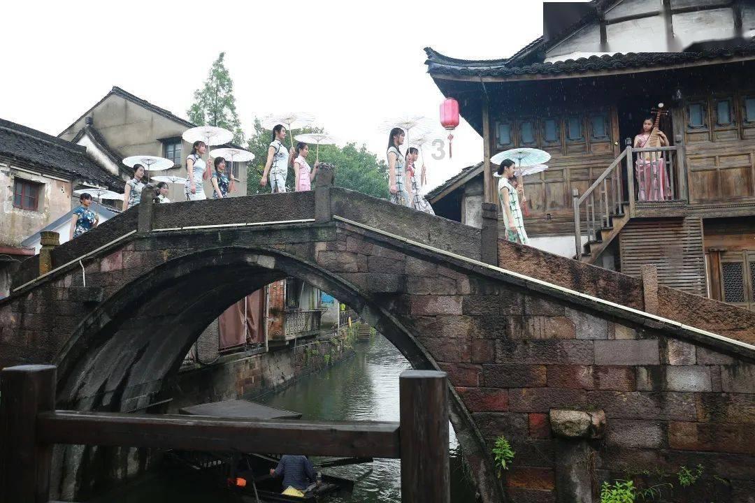 金边蝴蝶兰，赏花观叶两不误
